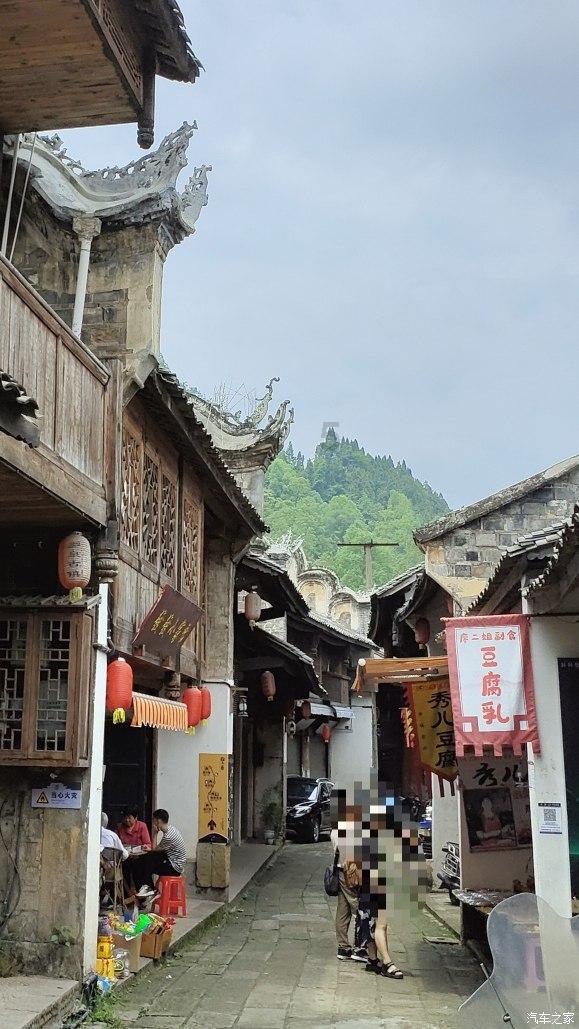 植物大战僵尸2